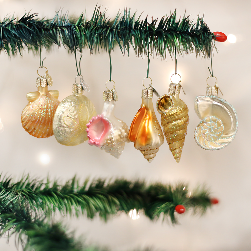  Old World Christmas Assorted Sea Shell Set of Ornaments, OWC-Old World Christmas, Putti Fine Furnishings