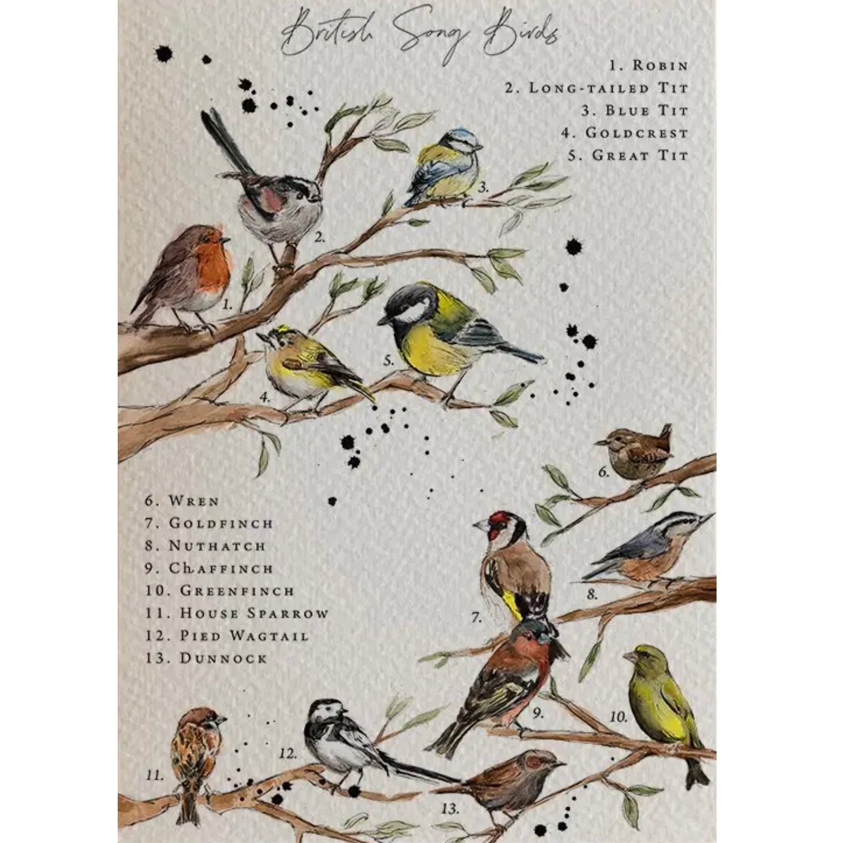 British Birds Greeting Card