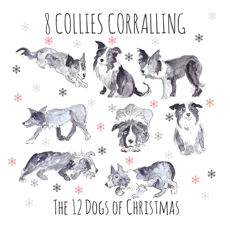 8 Collies Corralling Christmas Card