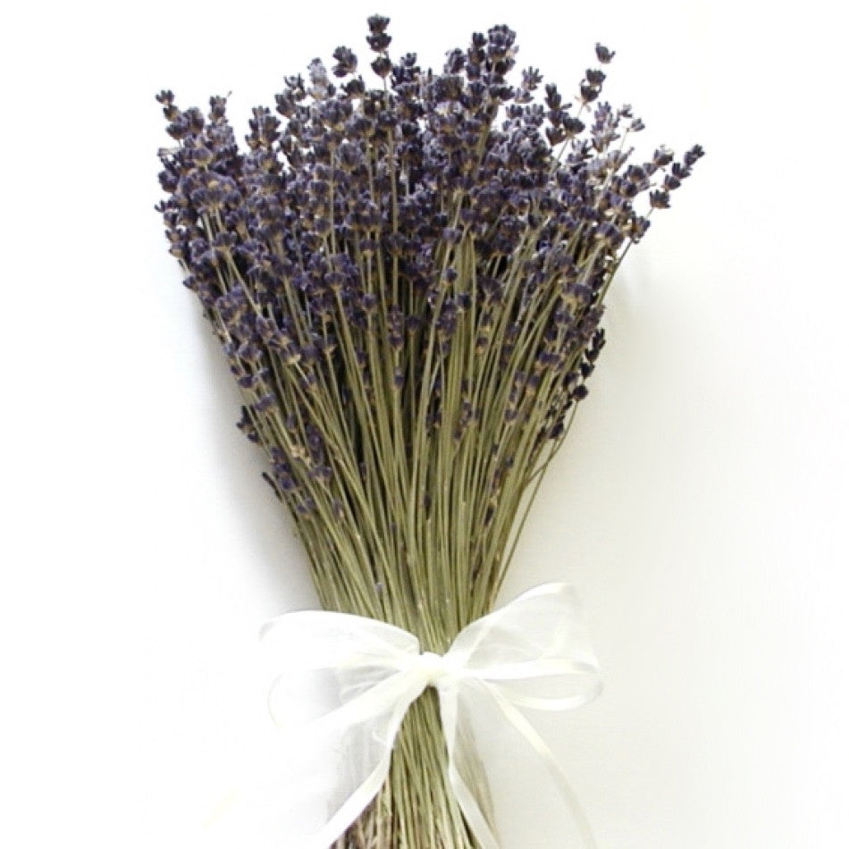 Lavender Bunch-Home Fragrance-HDF-Holland Dried Flowers-Putti Fine Furnishings
