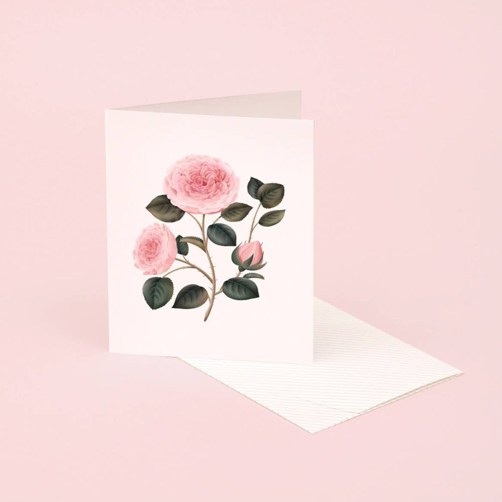Botanical Scented Card - Bulgarian Rose | Putti Fine Furnishings 