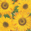 Caspari Royal Horticultural Society Sunflowers Paper Napkin - Lunch | Putti