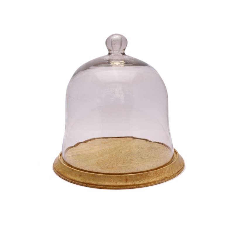 Glass Cheese Dome on Wooden Base - Large | Putti fine Furnishings 