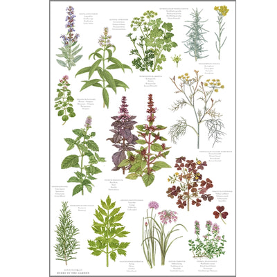 Herbs Organic Tea Towel | Putti Fine Furnishings Canada