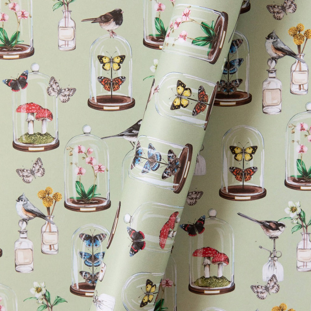 The Botanist's Study Gift Wrap Sheet