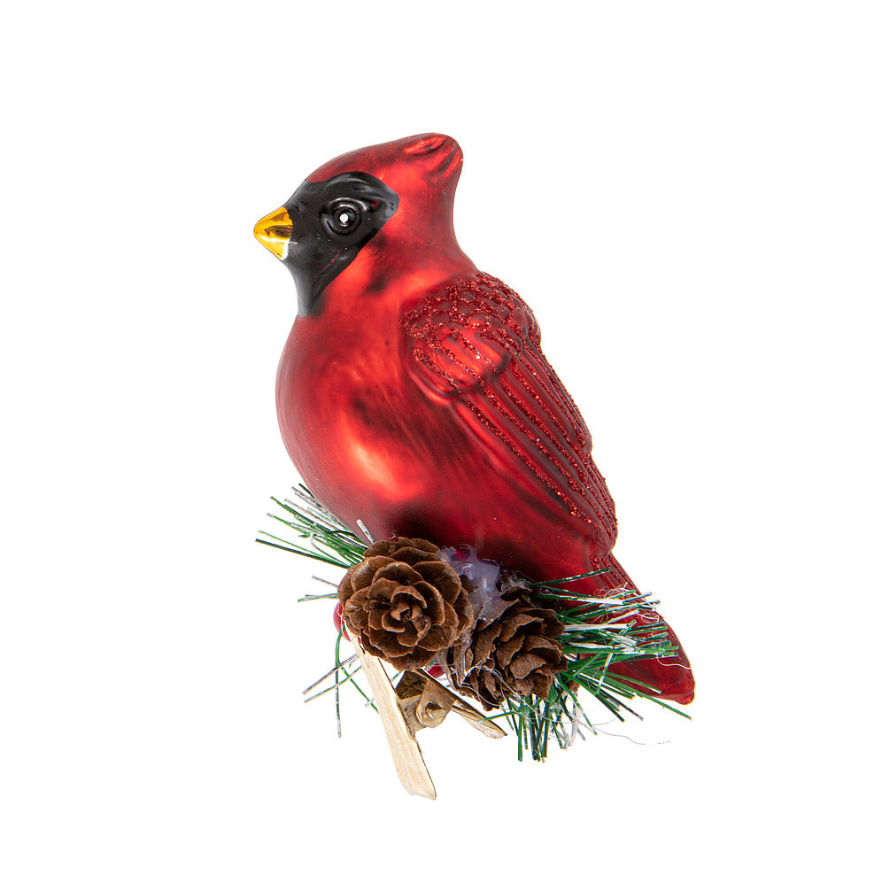 Cardinal with Fir Clip Ornament |  Putti Christmas Canada
