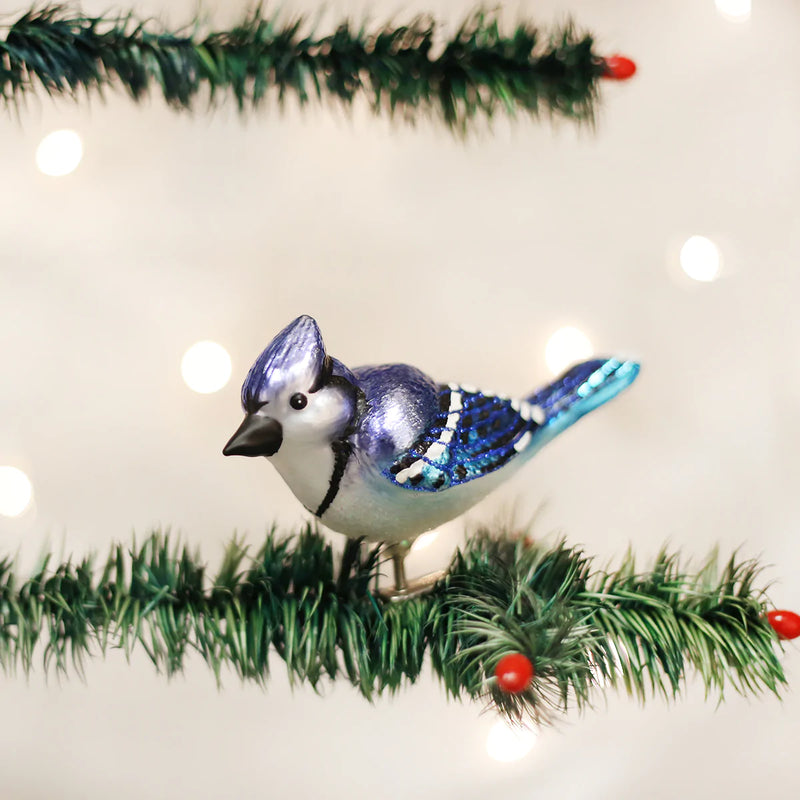 Old World Christmas Bright Blue Jay Glass Ornament | Putti Christtmas 