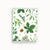 Merry Christmas Greenery Boxed Christmas Cards Card