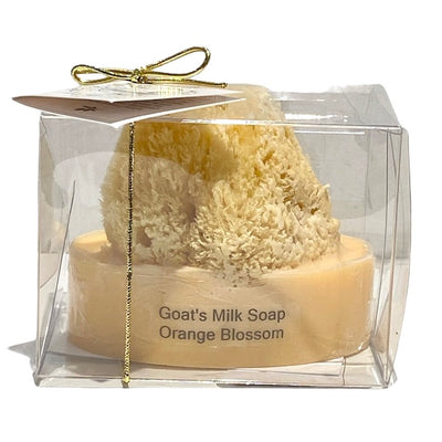 Goats Milk & Olive Oil Soaps with Sea Sponge - Orange Blossom | Putti Canada