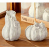 White Pumpkin and Gourd Salt and Pepper | Thanksgiving Putti Fine Furnishings