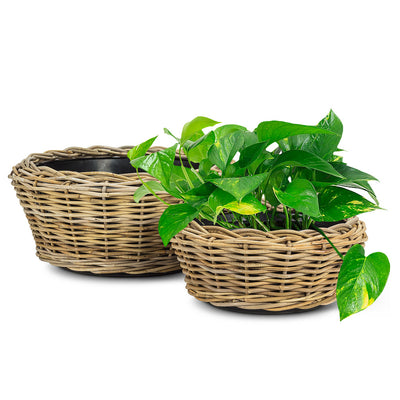 Round  Low Woven Planter - Mediium 16"D