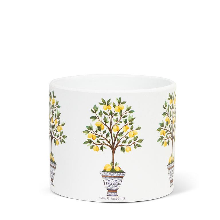 Lemon Tree Small Planter