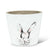 Benjamin Bunny Head Planter - Medium
