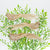 Champagne Glitter Feather Bird Clip