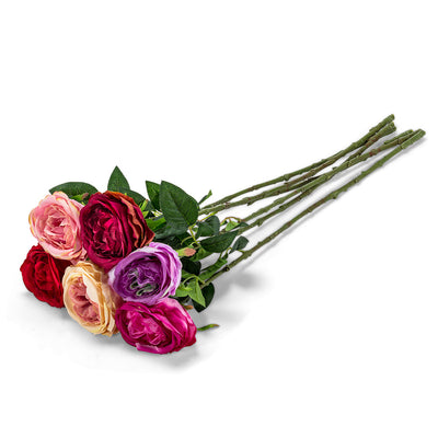 Large Austin Rose Stem - Dark Colors  | Putti Fine Furnishings Canada