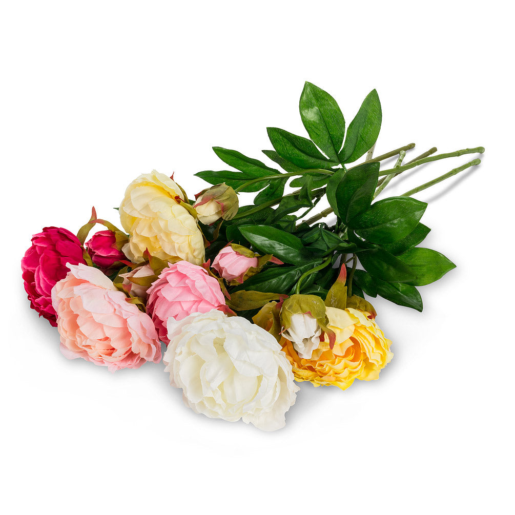 Double Bloom Peony Stem | Putti Fine Furnishings Canada 
