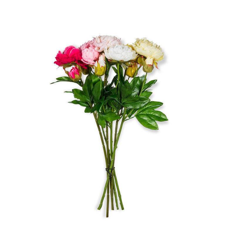 Double Bloom Peony Stem | Putti Fine Furnishings Canada 