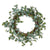 Eucalyptus Wreath