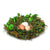 Boxwood Nest with Eggs