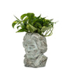 Beethoven Head Planter - Small | Putti Fine Furnishings Canada