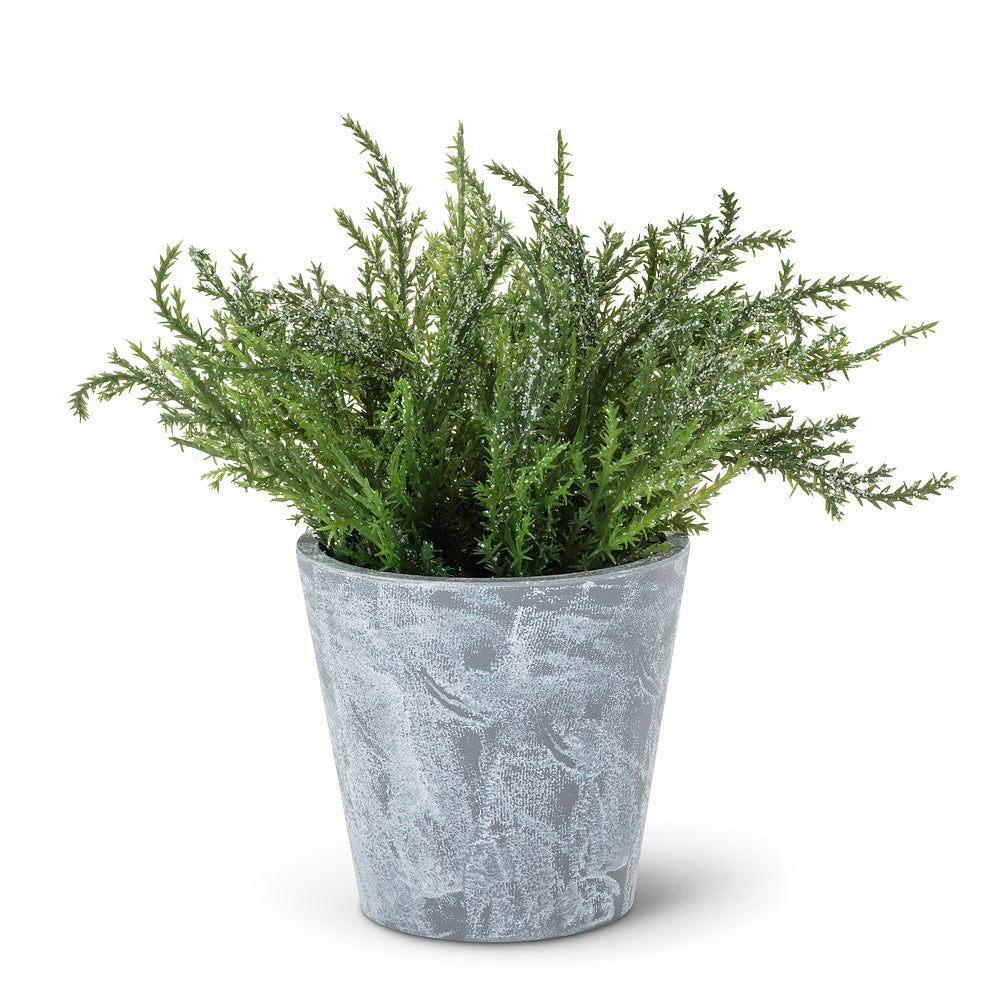 Frosted Greenery in Pot