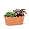 Oval Ruffled Planter - Large 4"H