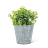 White Flowering Plant Pot | Putti Fine Furnishings