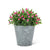 Pink Flowering Plant Pot