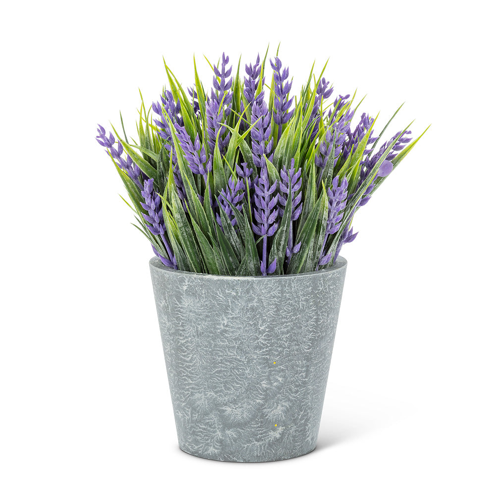 Lavender Plant Pot | Putti Fine Furnishings 