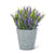 Lavender Plant Pot | Putti Fine Furnishings 