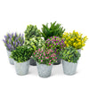Yellow Flowering Plant Pot | Putti Fine Furnishings