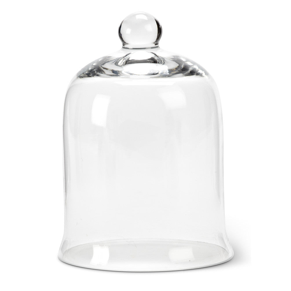 Glass Cloche