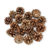 Large Pinecones with Gold Glitter -  Christmas - AC-Abbot Collection - Putti Fine Furnishings Toronto Canada - 1
