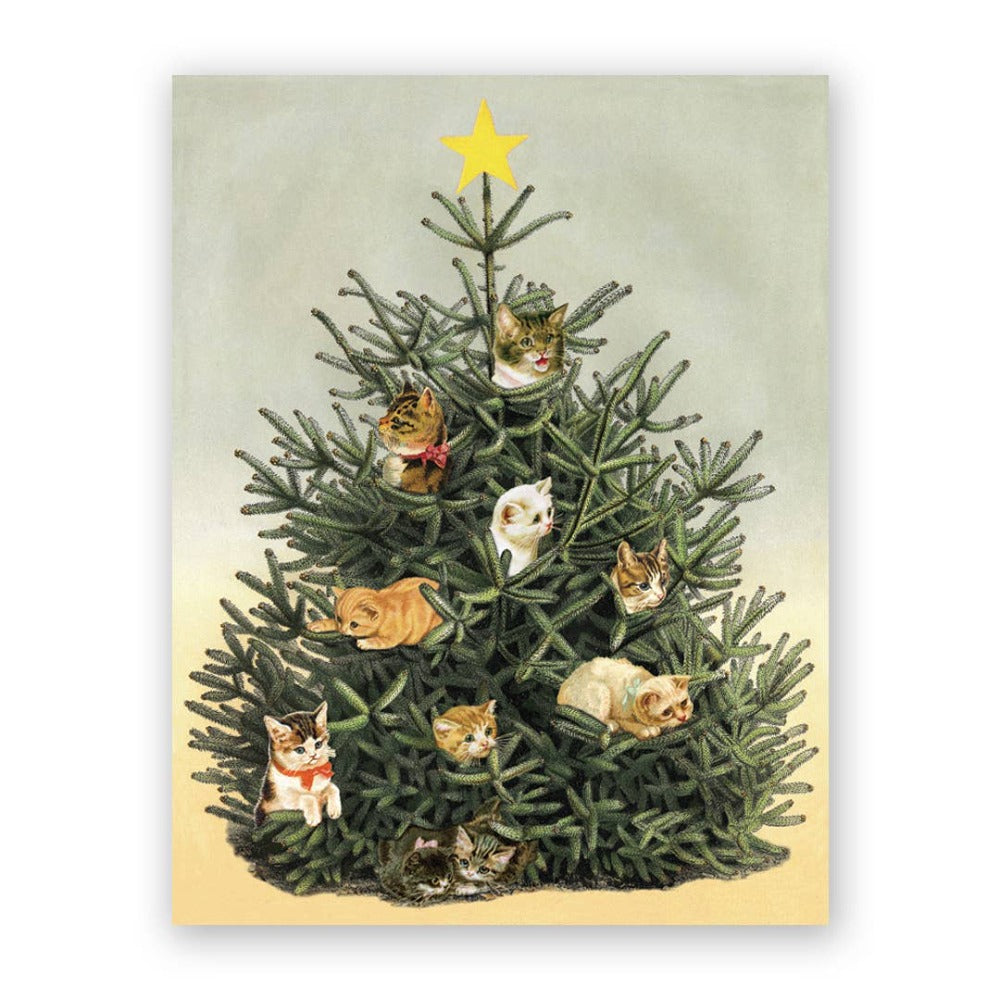 Cat Christmas Tree Boxed Christmas Cards
