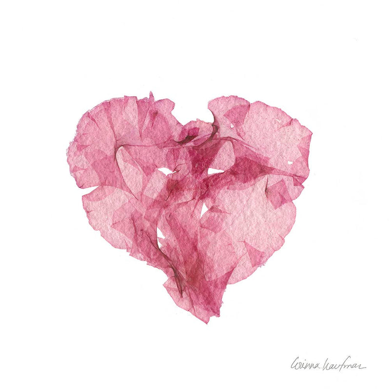 Seaweed Artist - Pink Heart Seaweed Art Greeting Cards Design #52