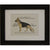 "German Shepherd" Dog Breeds Framed Print | Putti Fine Furnishings 