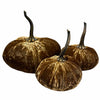 Small Velvet Pumpkin - Luxe Sand | Putti Fine Furnishings Canada