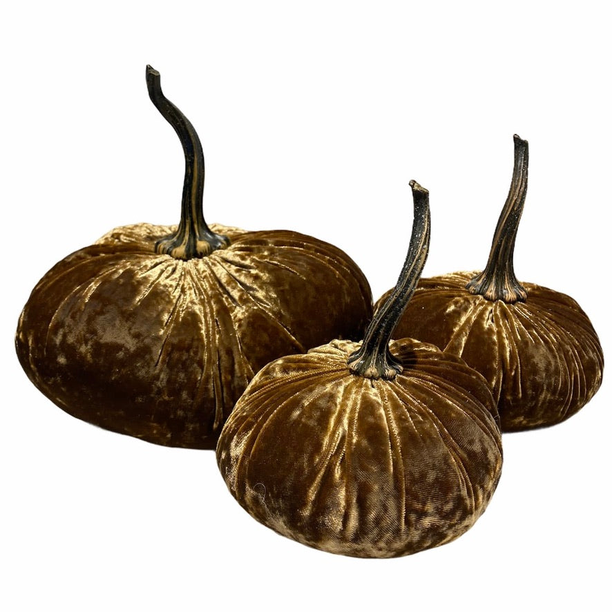 Small Velvet Pumpkin - Luxe Sand | Putti Fine Furnishings Canada