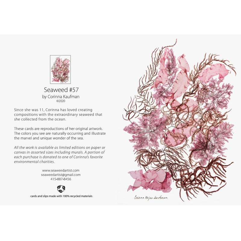 Seaweed Artist - Seaweed Art Greeting Cards Design #57