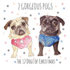 2 Gorgeous Pugs Christmas Card