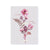 Pink Petals " Crazy Amazing" Greeting Card