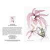 Seaweed Artist - Seaweed Art Greeting Cards Design #6 | Putti Fine Furnishings