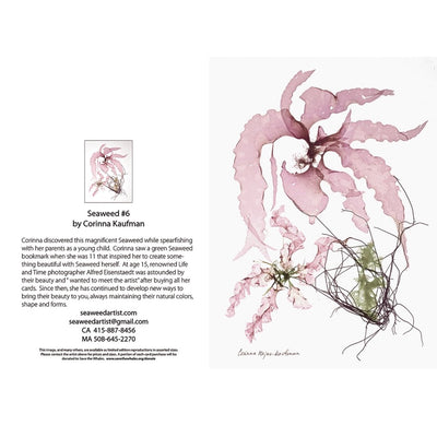 Seaweed Artist - Seaweed Art Greeting Cards Design #6 | Putti Fine Furnishings