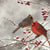 Pair of Cardinals Paper Lunch Napkins  | Putti Christmas 