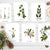 Botanical Print Greeting Cards