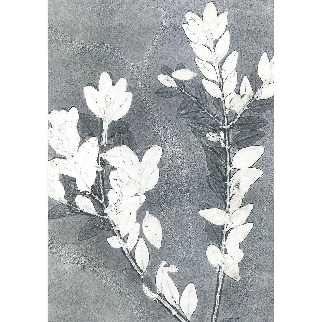 Midnight Garden III Greeting Card | Putti Celebrations Canada 