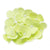 Chartreuse Green Soap Petal Hydrangea