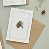 "The Botanist Archive: Festive Edition" Greeting Card - Douglas Fir | Putti Christmas