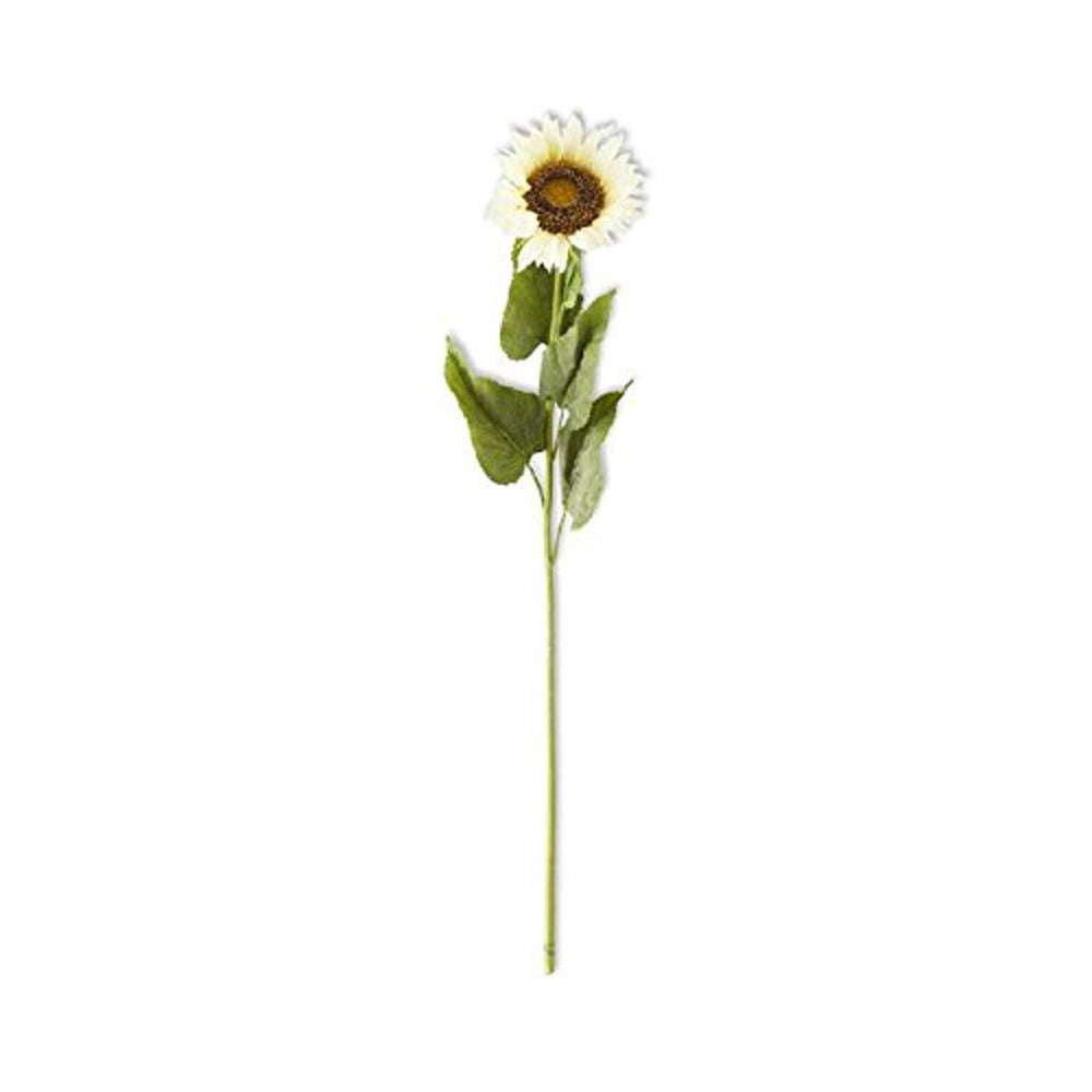 Large Cream Sunflower Stem