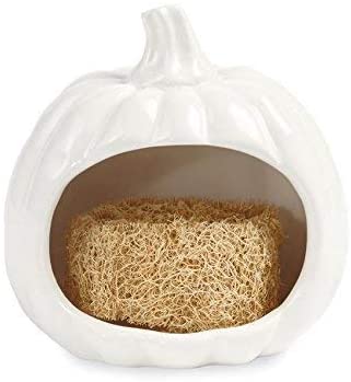 White Ceramic Pumpkin Sponge Holder